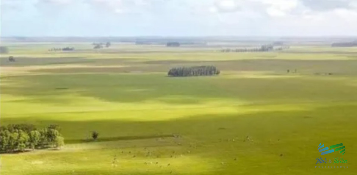 Campo Ref.3756 - Excelente Estancia Completa Agrícola-Ganadera, sobre R.9 y Costa Laguna Castillos