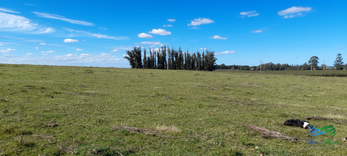 Campo Ref.4381 - Establecimiento Completo a 30 minutos de Punta, no se lo pierda !