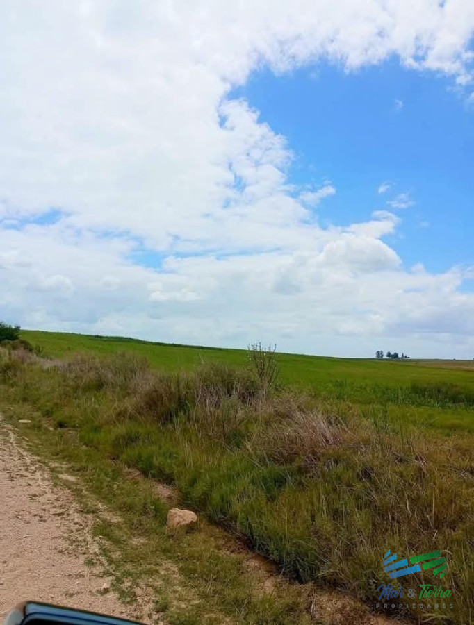 Campo Ref.5190 - 150 Has Campo Agrícola Ganadero a tan solo 10 Kms de Florida (Bajo de Precio) !