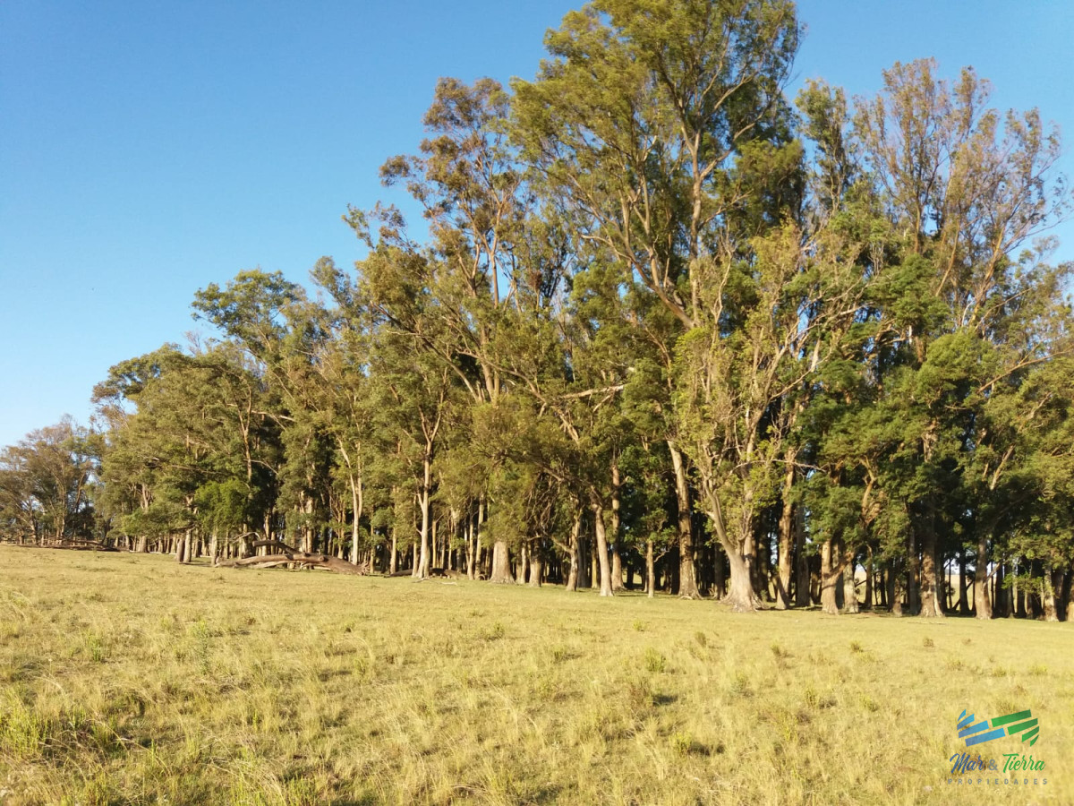 Campo Ref.3743 - 583 Has Ganaderas Especiales...!