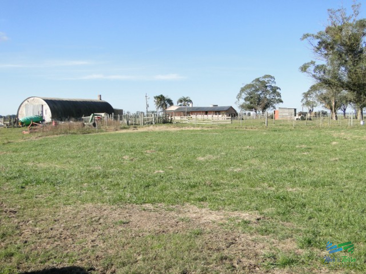 Campo Ref.3697 - 1.137 Has Campaso costa Laguna Negra