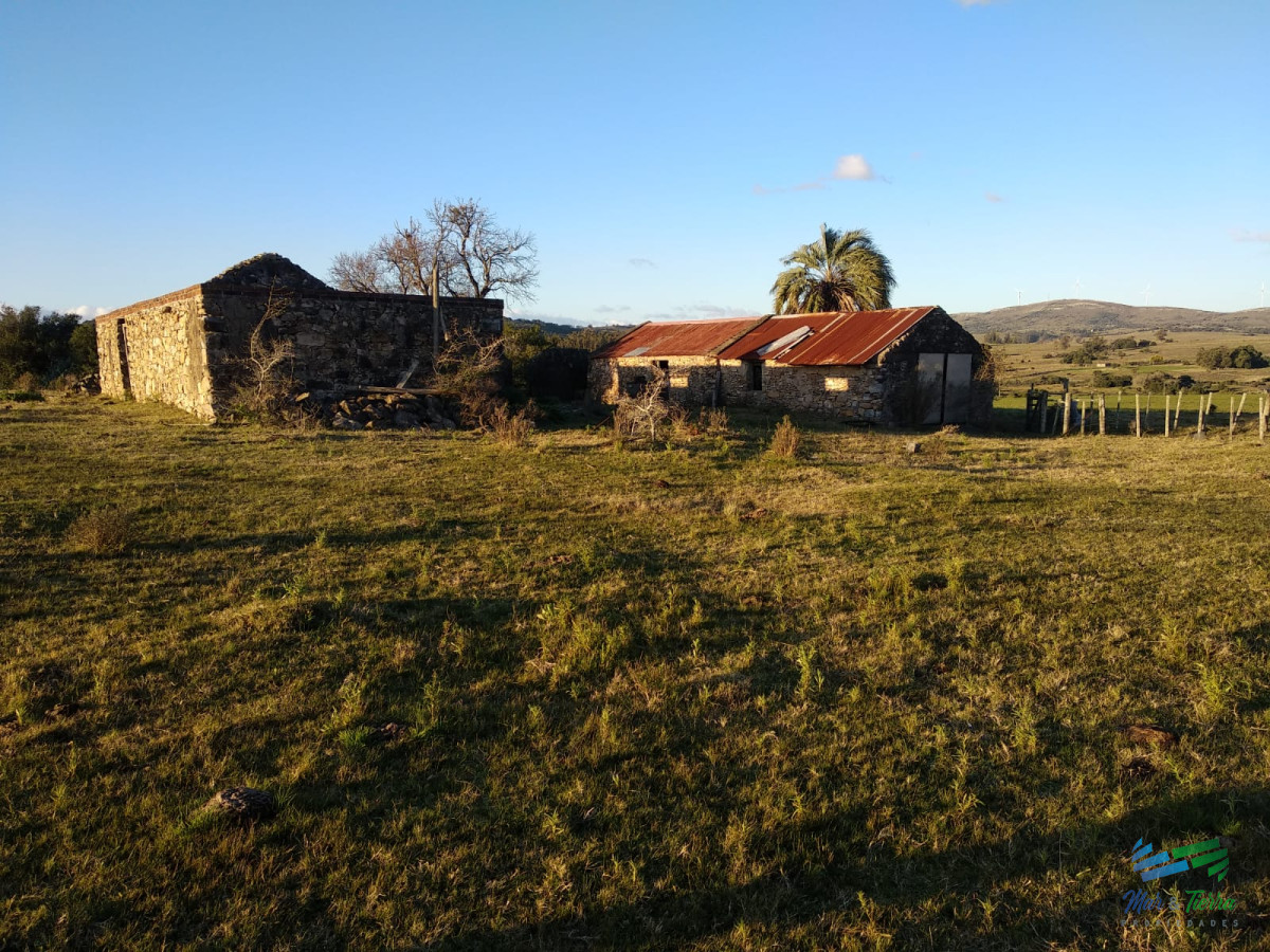 Campo Ref.3678 - 82 Has Cerca de Pueblo Edén y R.12