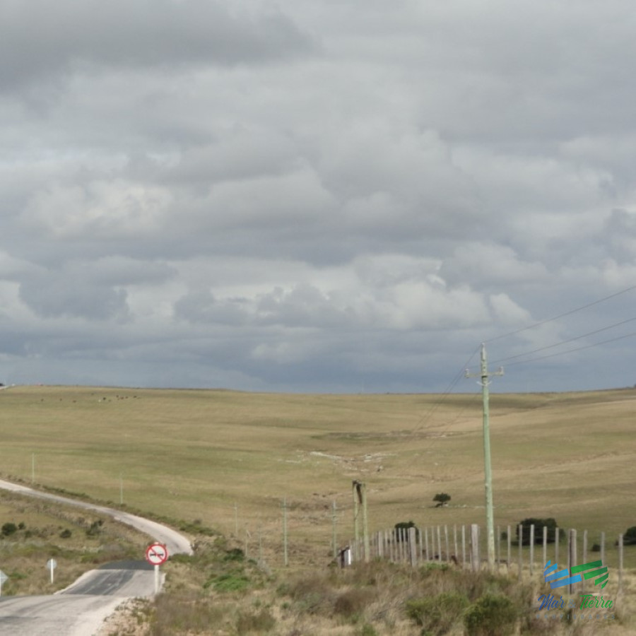 Campo Ref.3862 - 198 Has sobre Ruta 12, Arroyo, Monte Nativo a 15 kms de P. Edén