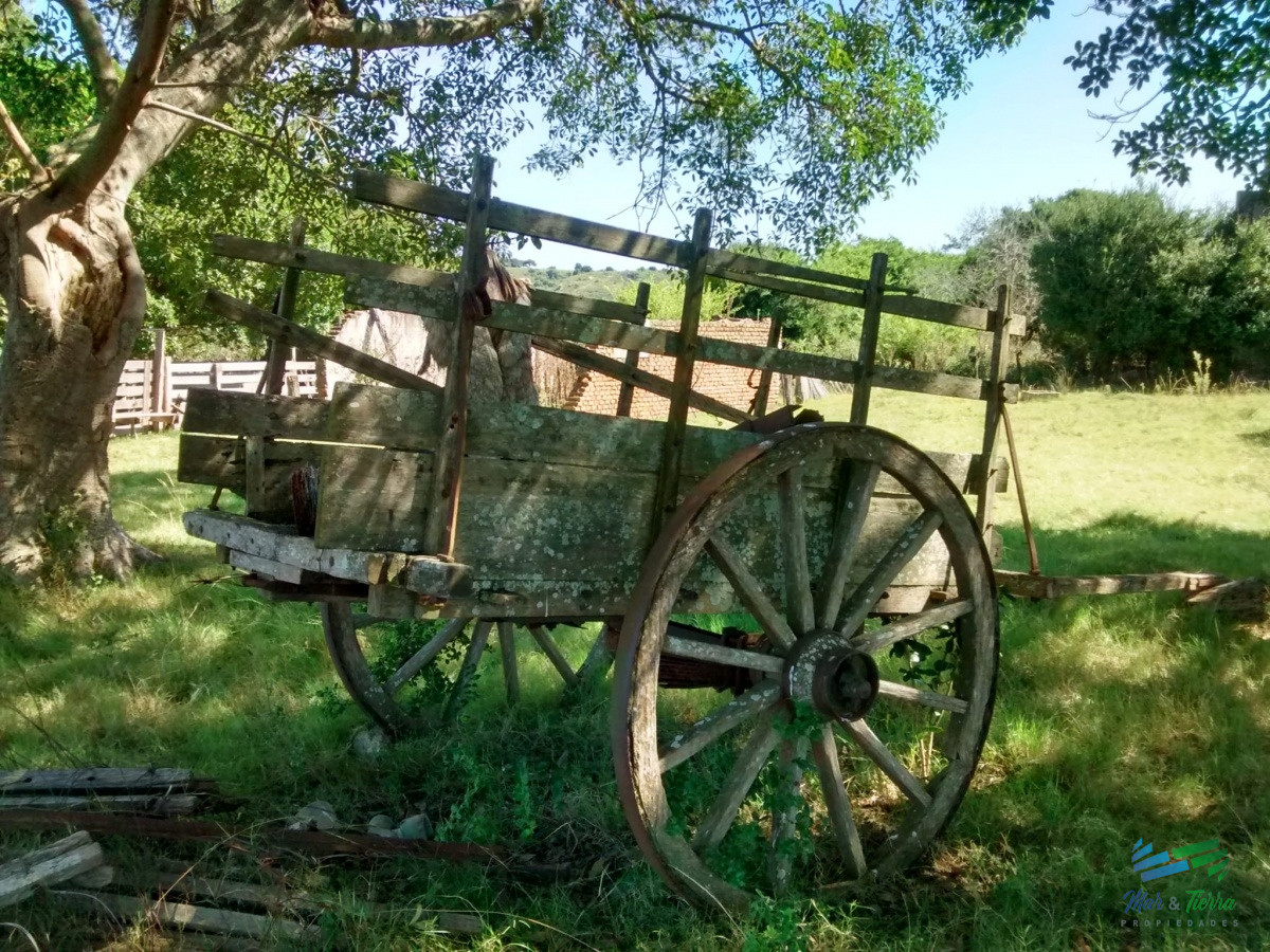 Campo Ref.4409 - Pintoresco campo Ganadero muy bien ubicado.