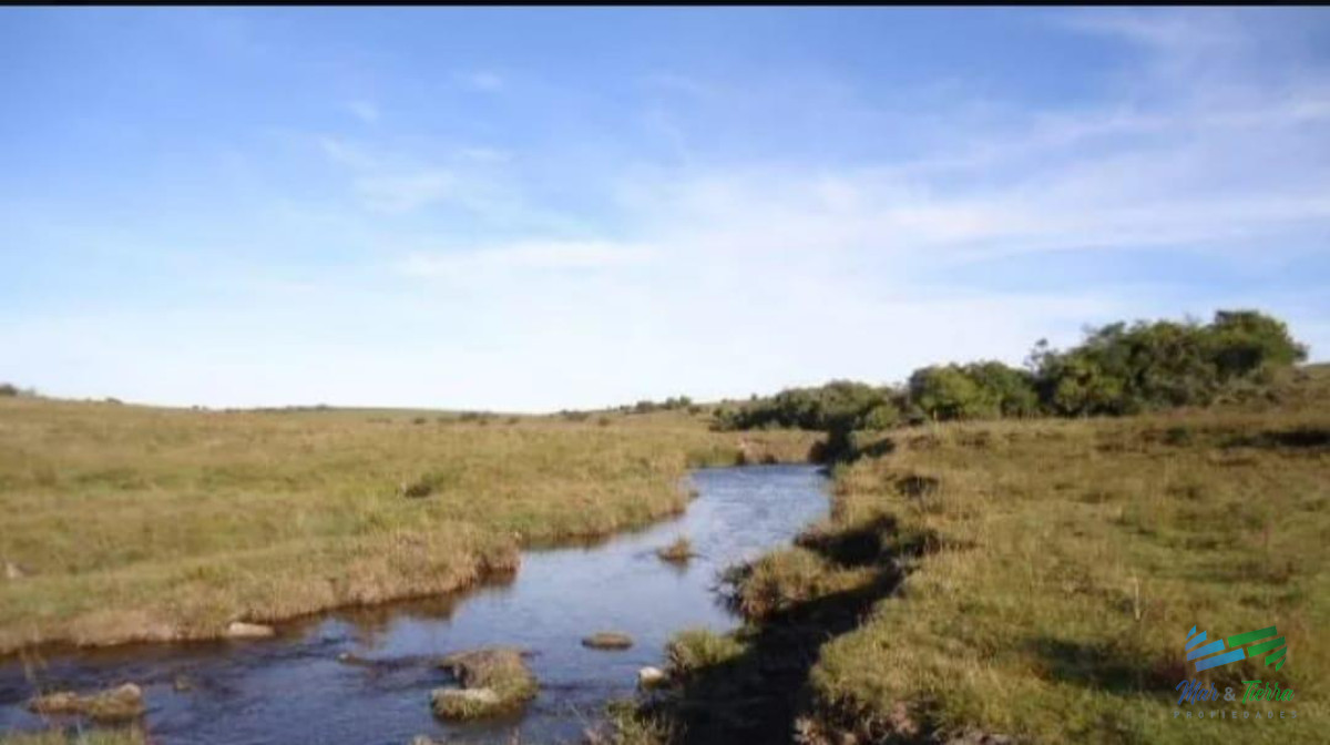 172 Has Campo ganadero Ruta 14 y Ruta 9 - GoPunta - Portal Inmobiliario de Punta del Este - Maldonado