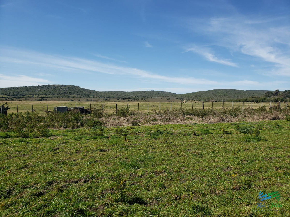 Campo Ref.4423 - 322 Has Ganaderas, Lindo Campo Criador.
