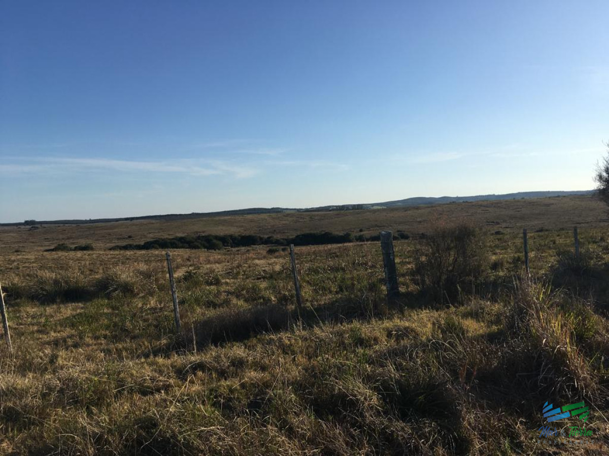 Campo Ref.4058 - 104 Has en Garzon