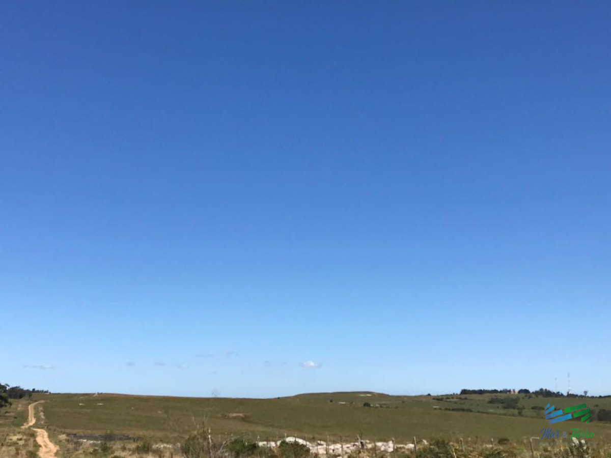 Campo Ref.3869 - Vendo campo 30 ha a 4 km de ruta 12. Maldonado