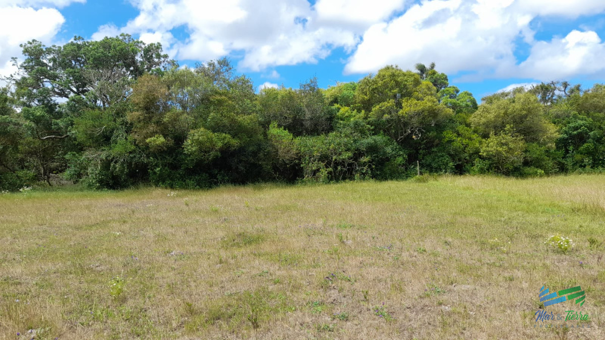 Campo Ref.3681 - 128 Has Agrícola-Ganaderas sobre Ruta 9 (Tambo)