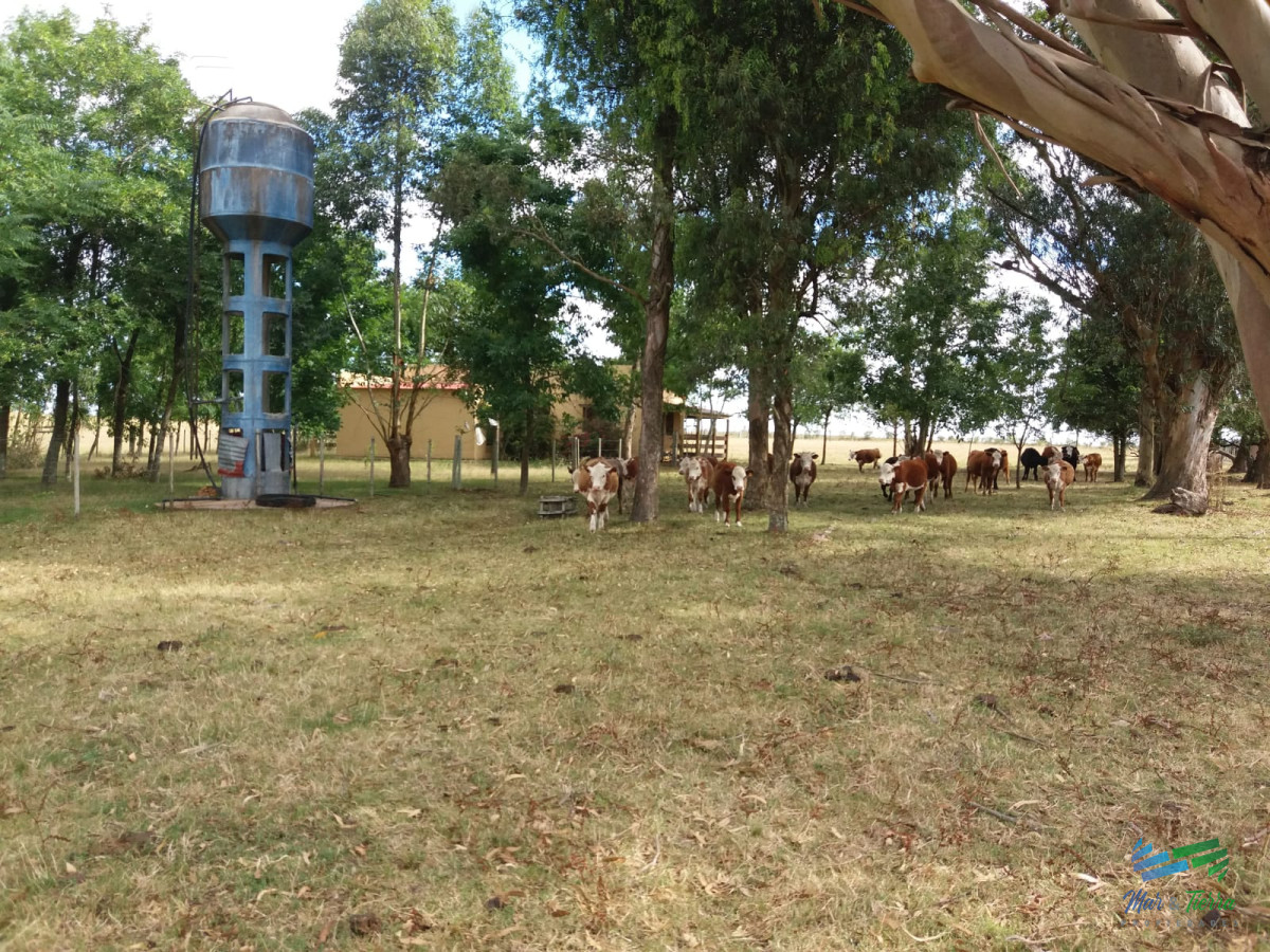 Campo Ref.3743 - 583 Has Ganaderas Especiales...!