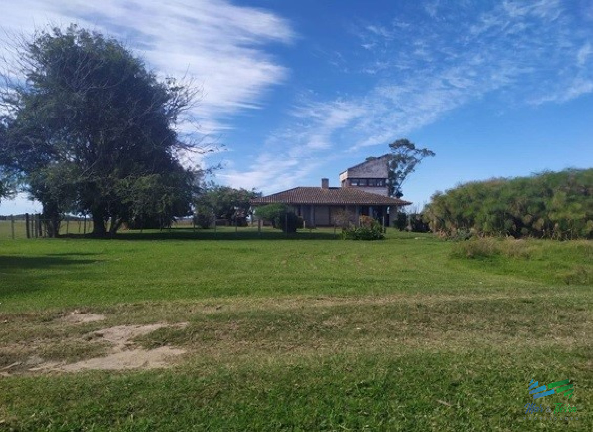 Campo Ref.4401 - Campo Arrocero-Ganadero 1.636 Has sobre Ruta
