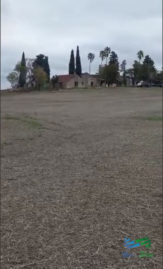 Campo Ref.4325 - Excelente ubicación, Campo Mixto a poca distancia de Mercedes, todo hecho a  nuevo !