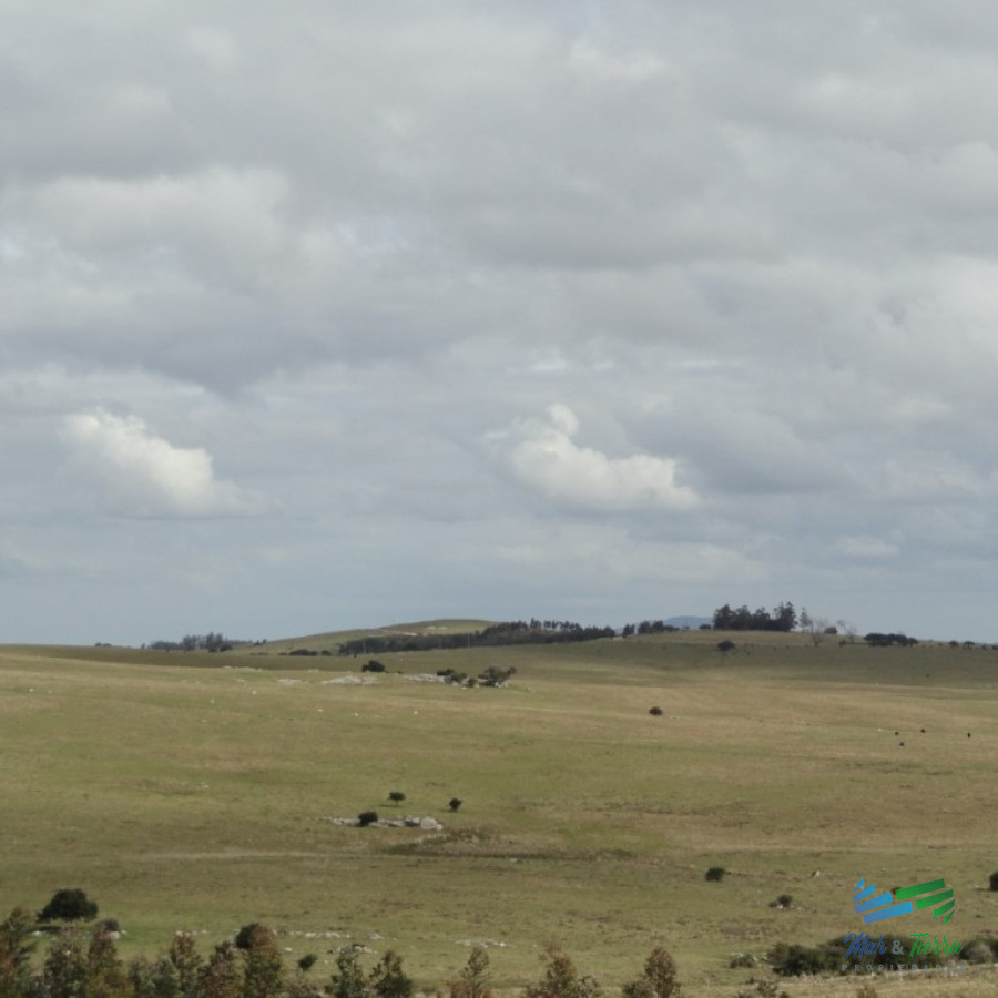 Campo Ref.3862 - 198 Has sobre Ruta 12, Arroyo, Monte Nativo a 15 kms de P. Edén