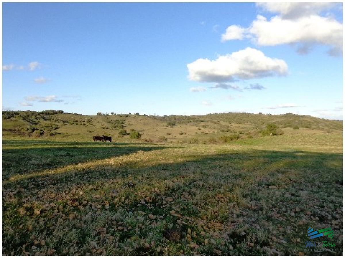 Campo Ref.4113 - 51 Has Campo Secreto