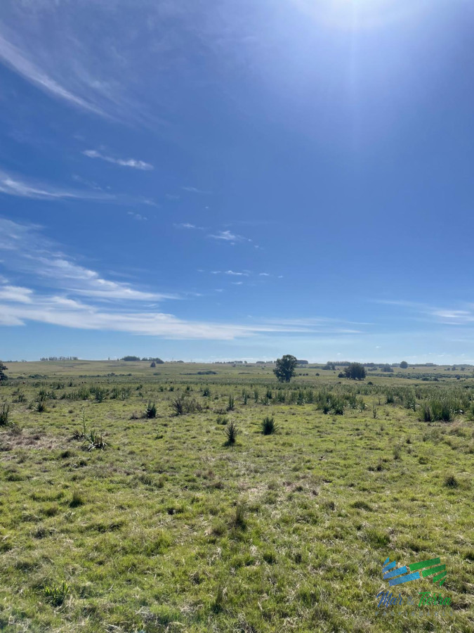 50 Has a 15 minutos de José Ignacio, Ideal para fraccionar ! - GoPunta - Portal Inmobiliario de Punta del Este - Maldonado
