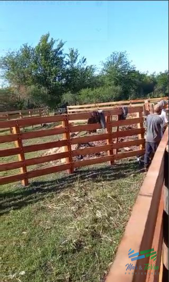 Campo Ref.4325 - Excelente ubicación, Campo Mixto a poca distancia de Mercedes, todo hecho a  nuevo !