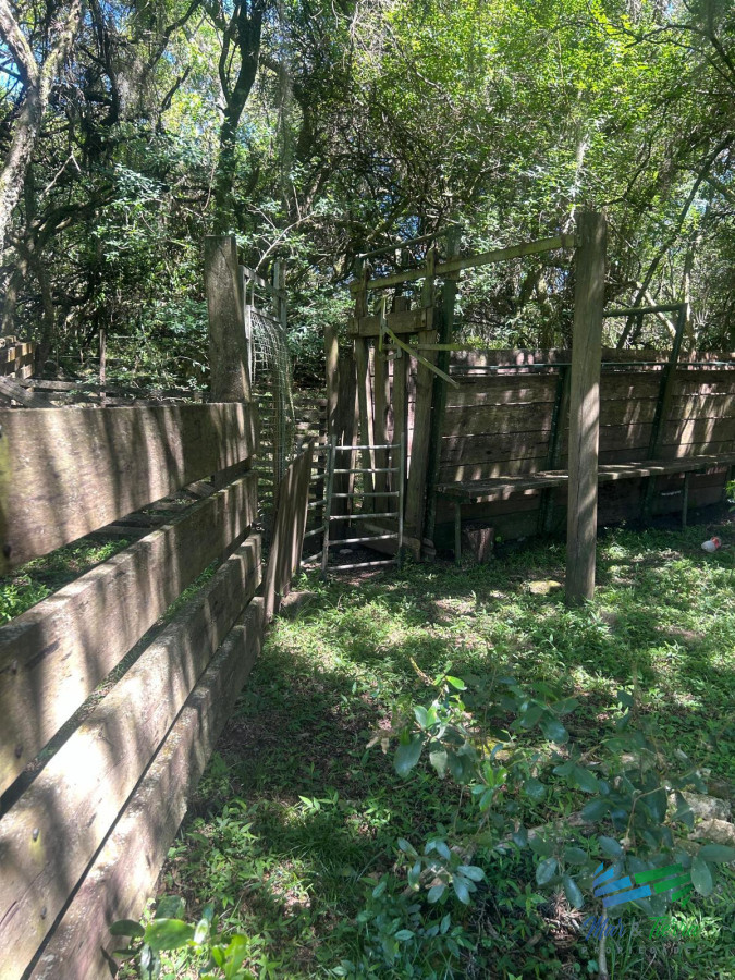 372 Has Ganderas   Forestales en 33. - GoPunta - Portal Inmobiliario de Punta del Este - Maldonado