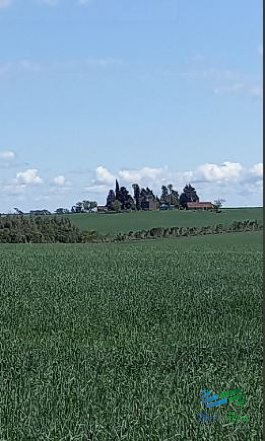 Campo Ref.4325 - Excelente ubicación, Campo Mixto a poca distancia de Mercedes, todo hecho a  nuevo !