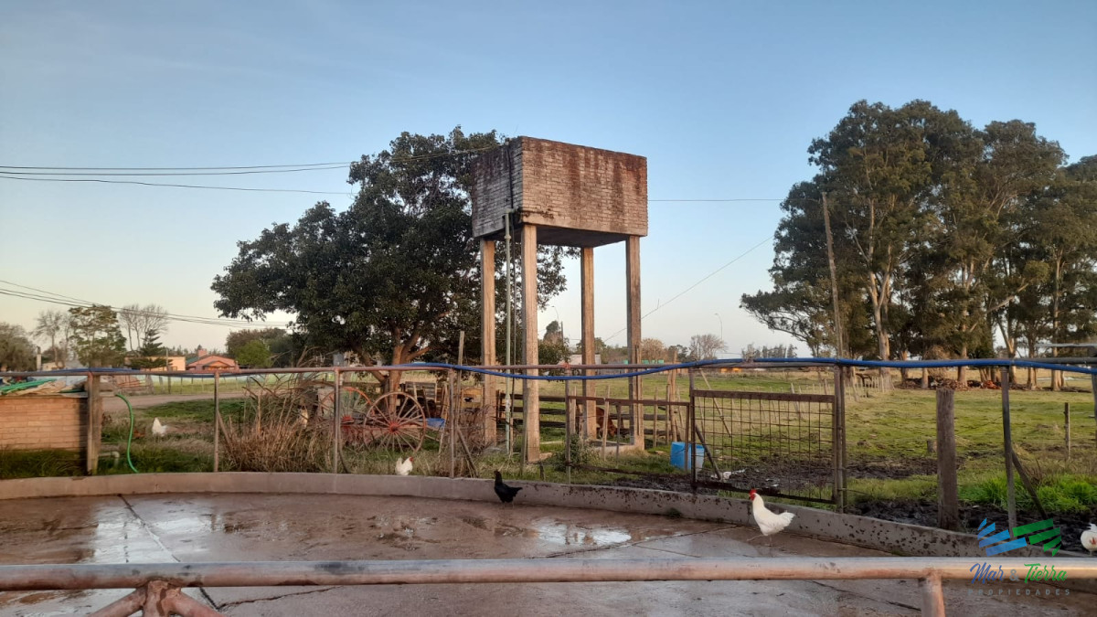 Campo Ref.3681 - 128 Has Agrícola-Ganaderas sobre Ruta 9 (Tambo)