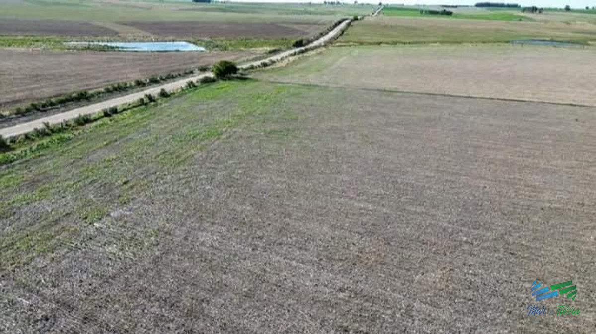 Campo Ref.5190 - 150 Has Campo Agrícola Ganadero a tan solo 10 Kms de Florida (Bajo de Precio) !