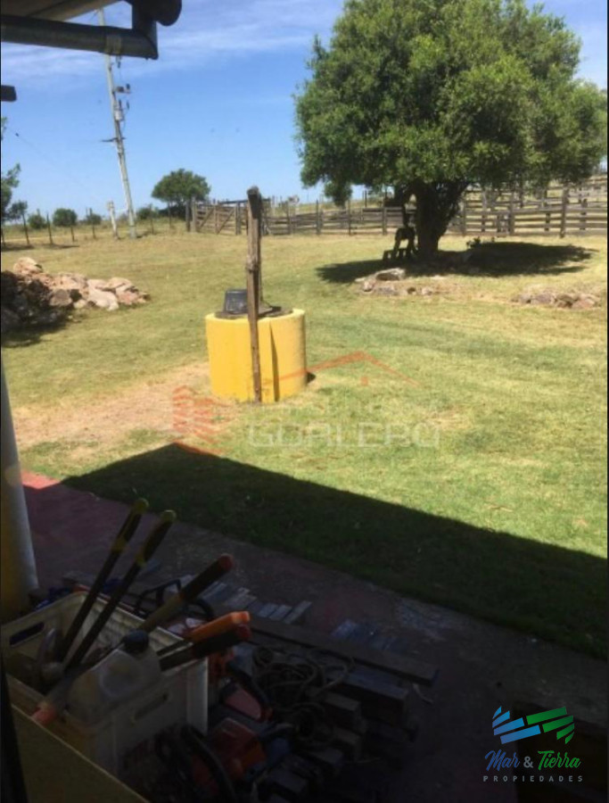 Campo Ref.3677 - 85 Has con casa a 30 minutos de Punta y 1 hora de Mdeo
