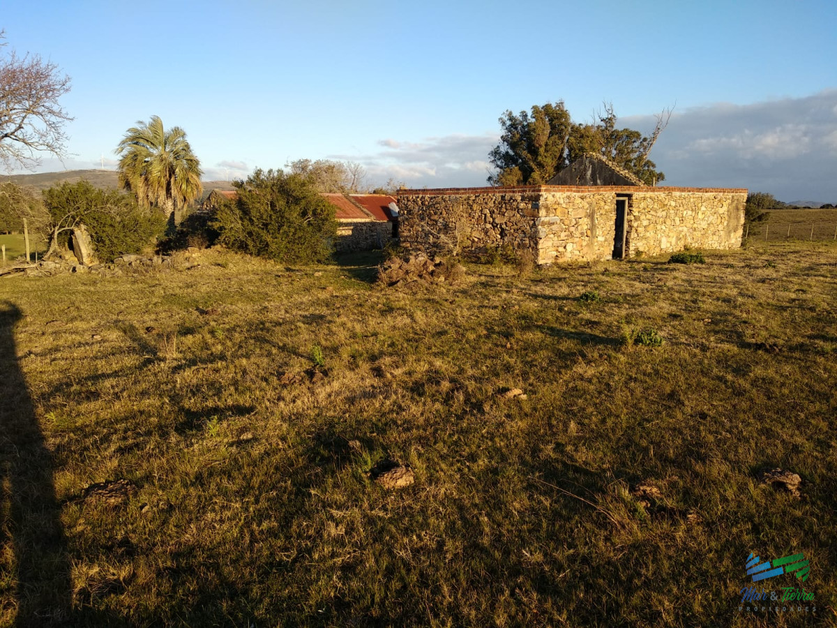 Campo Ref.3678 - 82 Has Cerca de Pueblo Edén y R.12