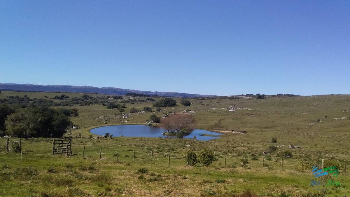 Campo Ref.4426 - Muy lindo campo de Recreo con Olivos a pocos mts de R.39 y 1 hora de Punta