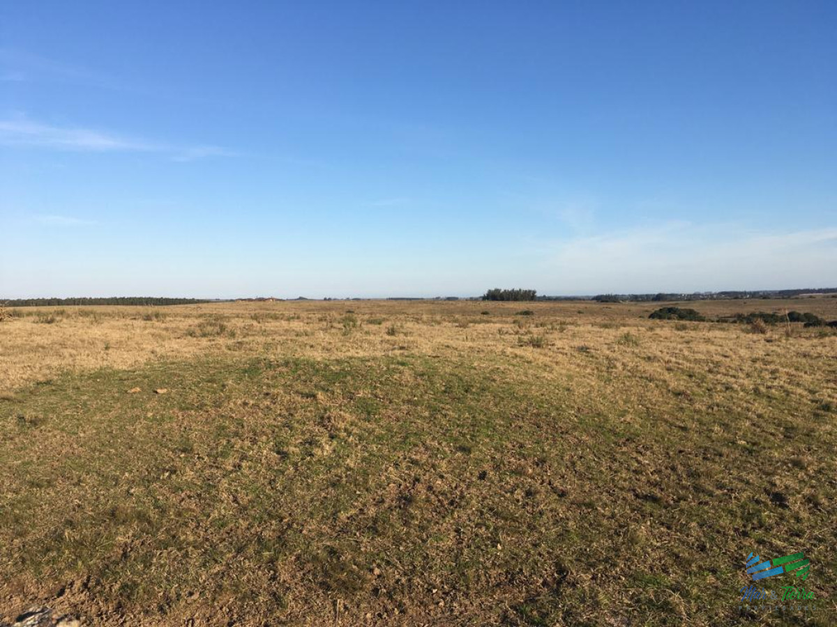 Campo Ref.4059 - 80 Has al Norte de Garzon, buen acceso, vistas, monte y luz en la portera