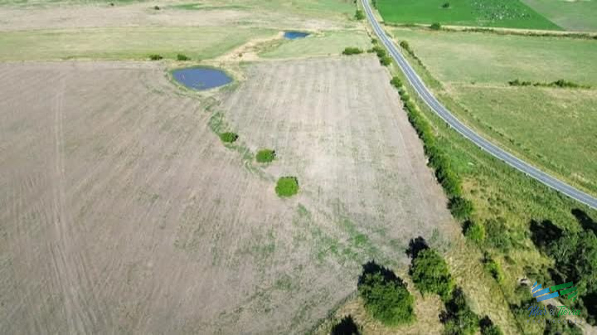 150 Has Campo Agrícola Ganadero a tan solo 10 Kms de Florida - GoPunta - Portal Inmobiliario de Punta del Este - Maldonado