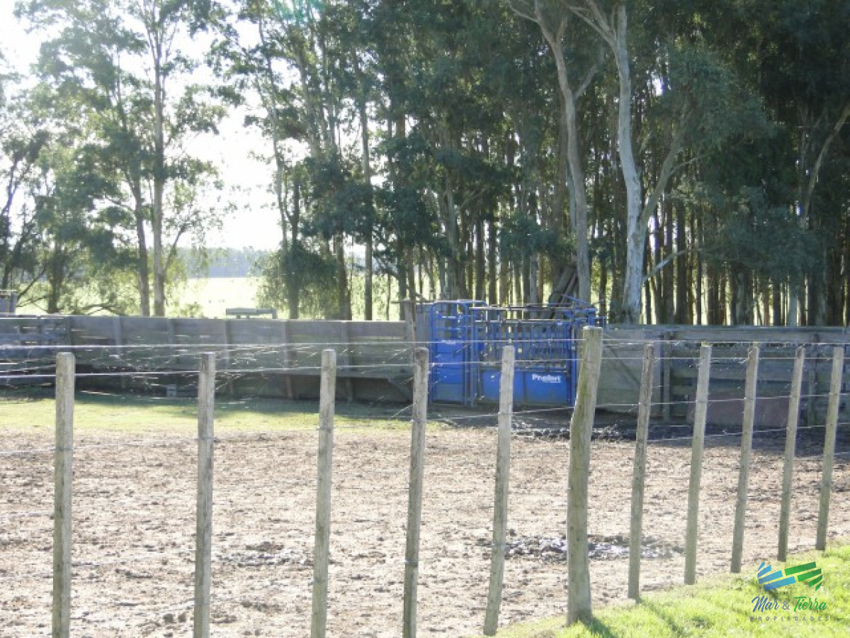 Campo Ref.3697 - 1.137 Has Campaso costa Laguna Negra