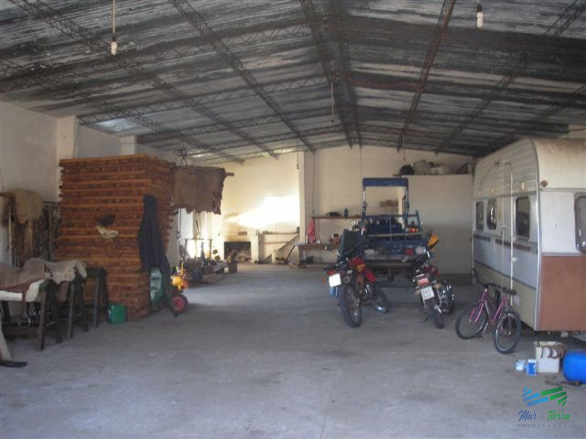 Campo Ref.3687 - 1.600 Has Campo Ganadero criador a buen precio