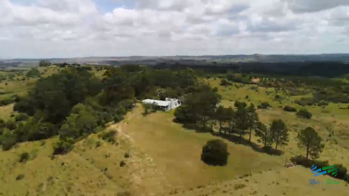 Campo Ref.4248 - Campo Ganadero y Recreo en Garzón 116 Has con casa