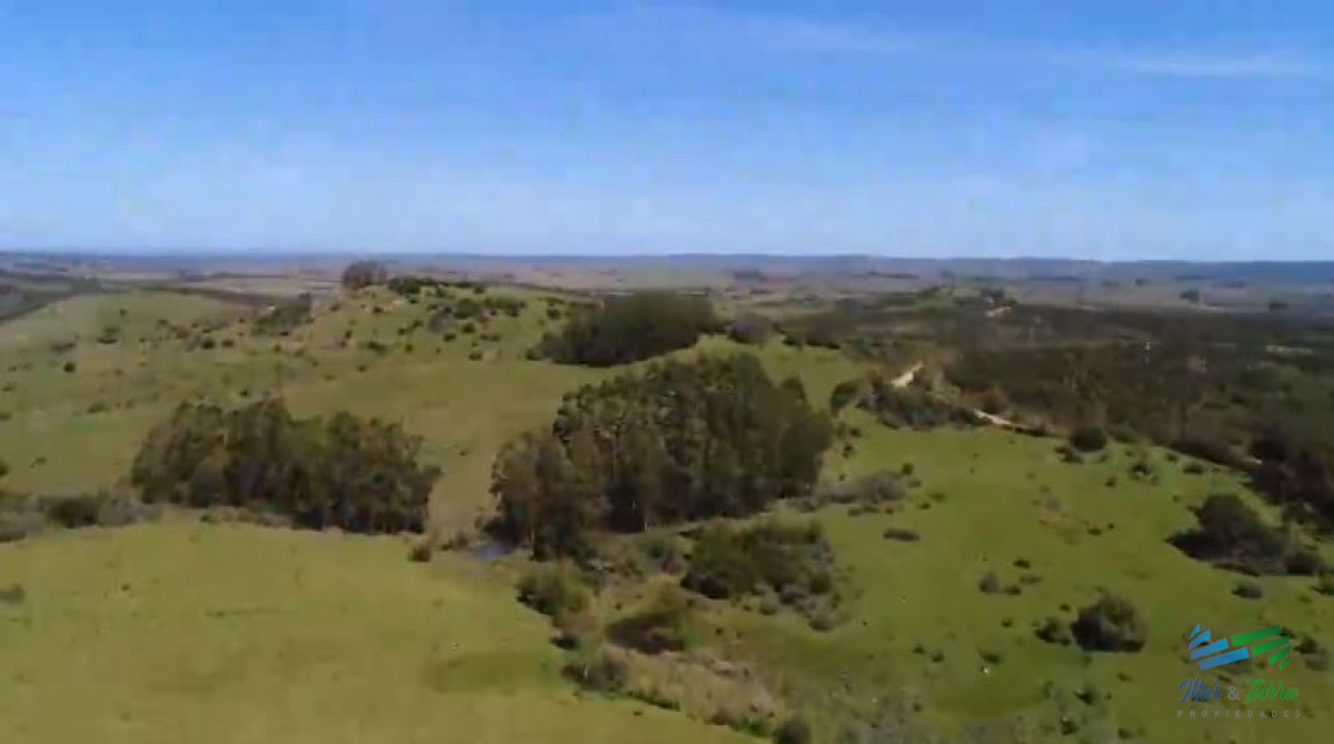 Campo Ref.4248 - Campo Ganadero y Recreo en Garzón 116 Has con casa