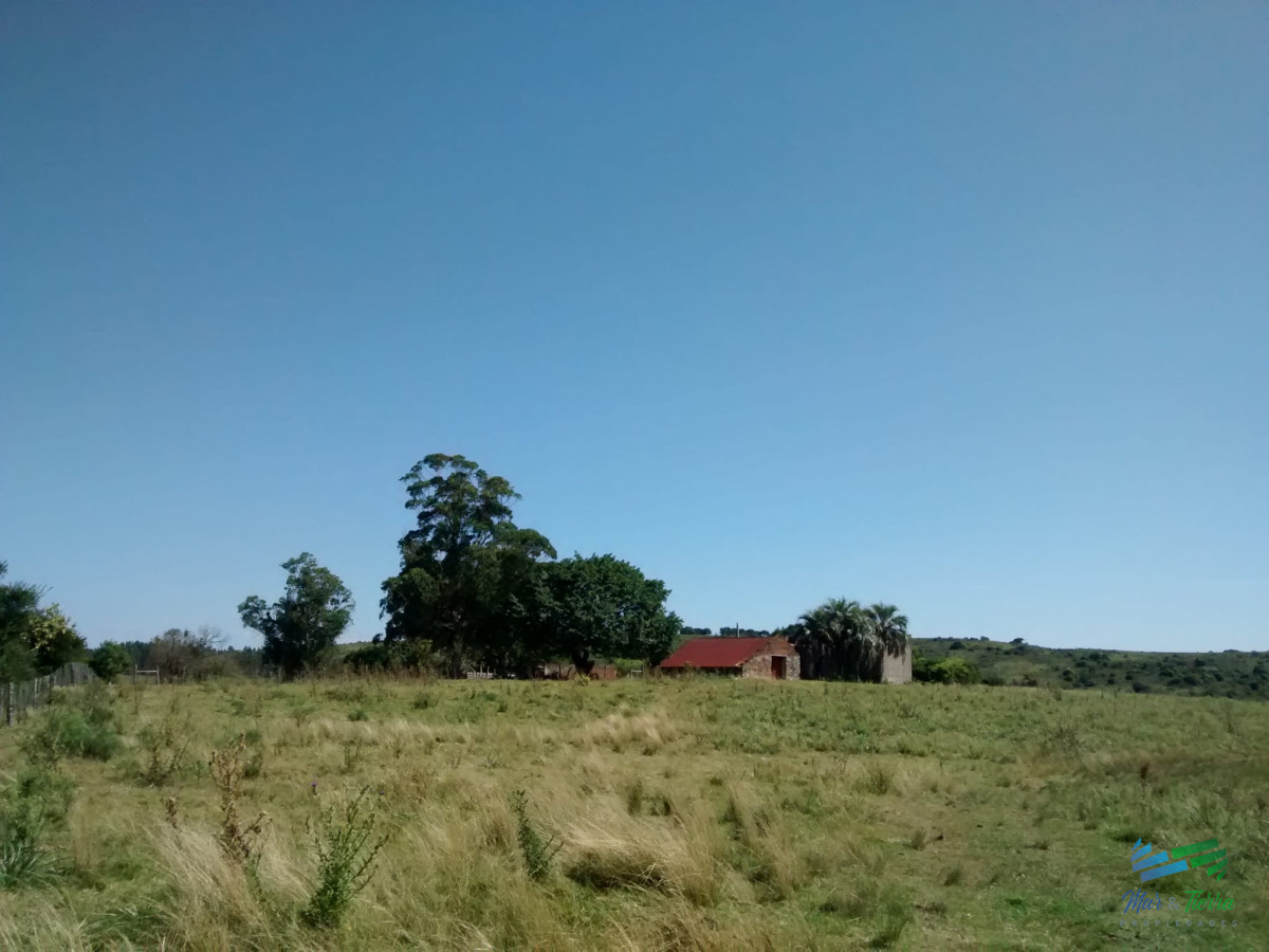 Campo Ref.4113 - 51 Has Campo Secreto