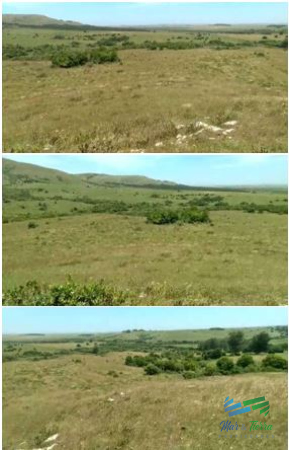 Campo Ref.4502 - Linda fracción de campo ganadero con aptitud forestal