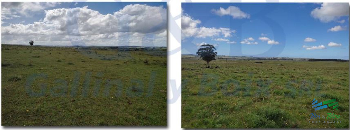 Campo Ref.4484 - 60 Has a tan solo 5 Kms de Garzón