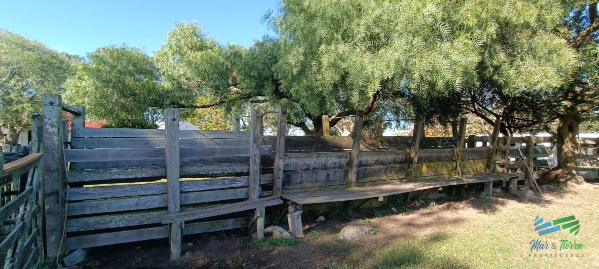 Campo Ref.4410 - Muy buen campo mixto Ganadero-Forestal de 690 Has y bien ubicado