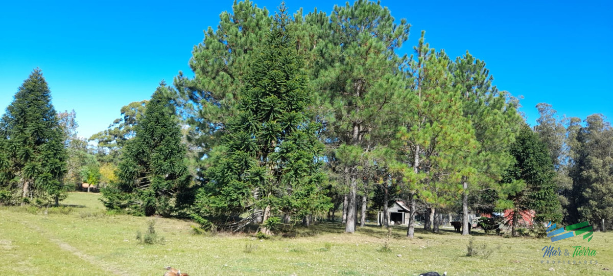 Campo Ref.4416 - Buen campo agrícola, muy bien ubicado. 83 Has