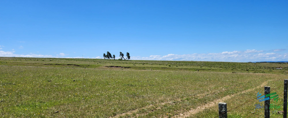 Campo Ref.4158 - 125 Has sobre R.9 muy bien campo Agricola-Ganadero