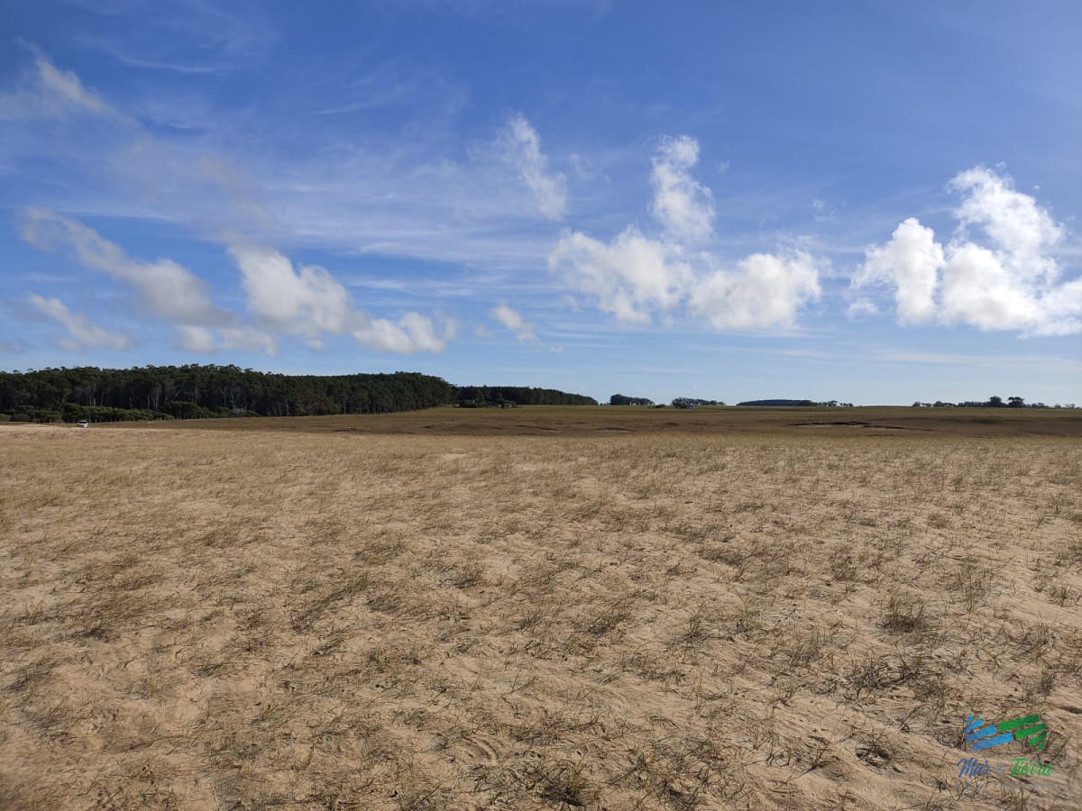 Campo Ref.5317 - Casi 1.500 mts de costa al Mar, único e irrepetible oportunidad de inversión en la costa uruguaya!