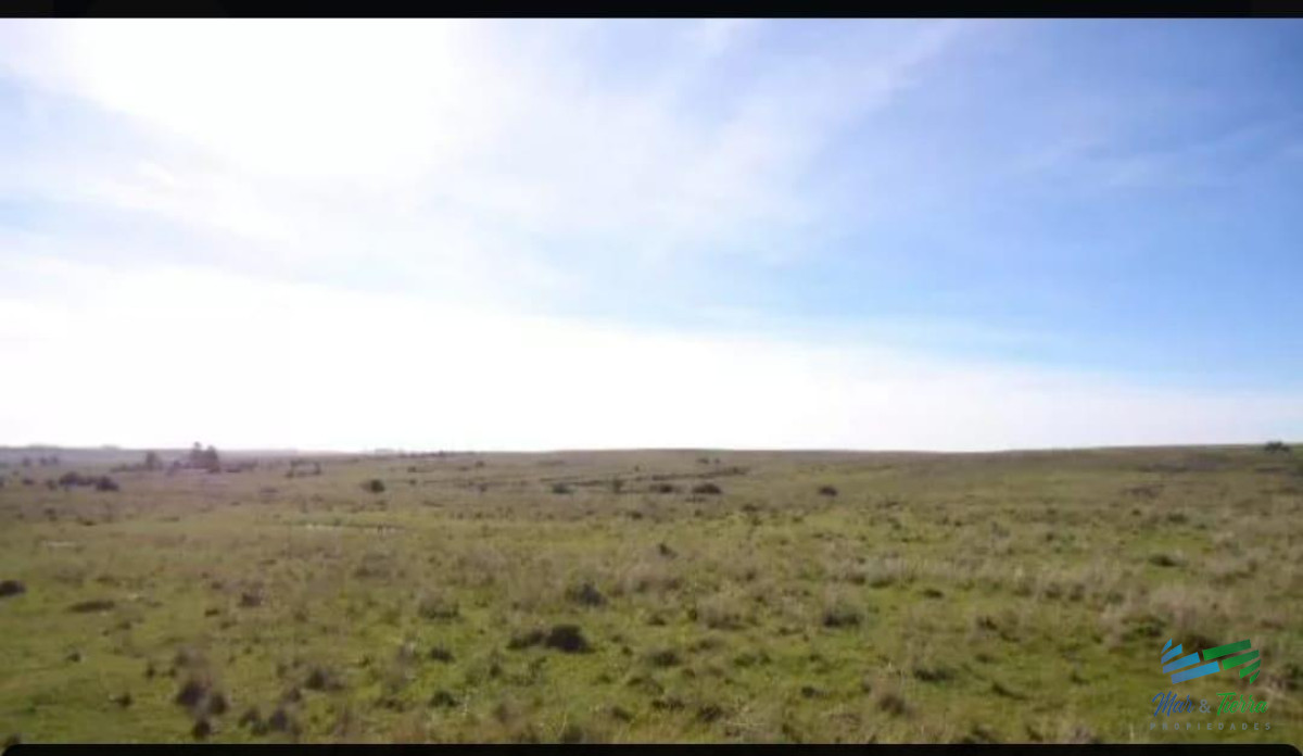 172 Has Campo ganadero Ruta 14 y Ruta 9 - GoPunta - Portal Inmobiliario de Punta del Este - Maldonado