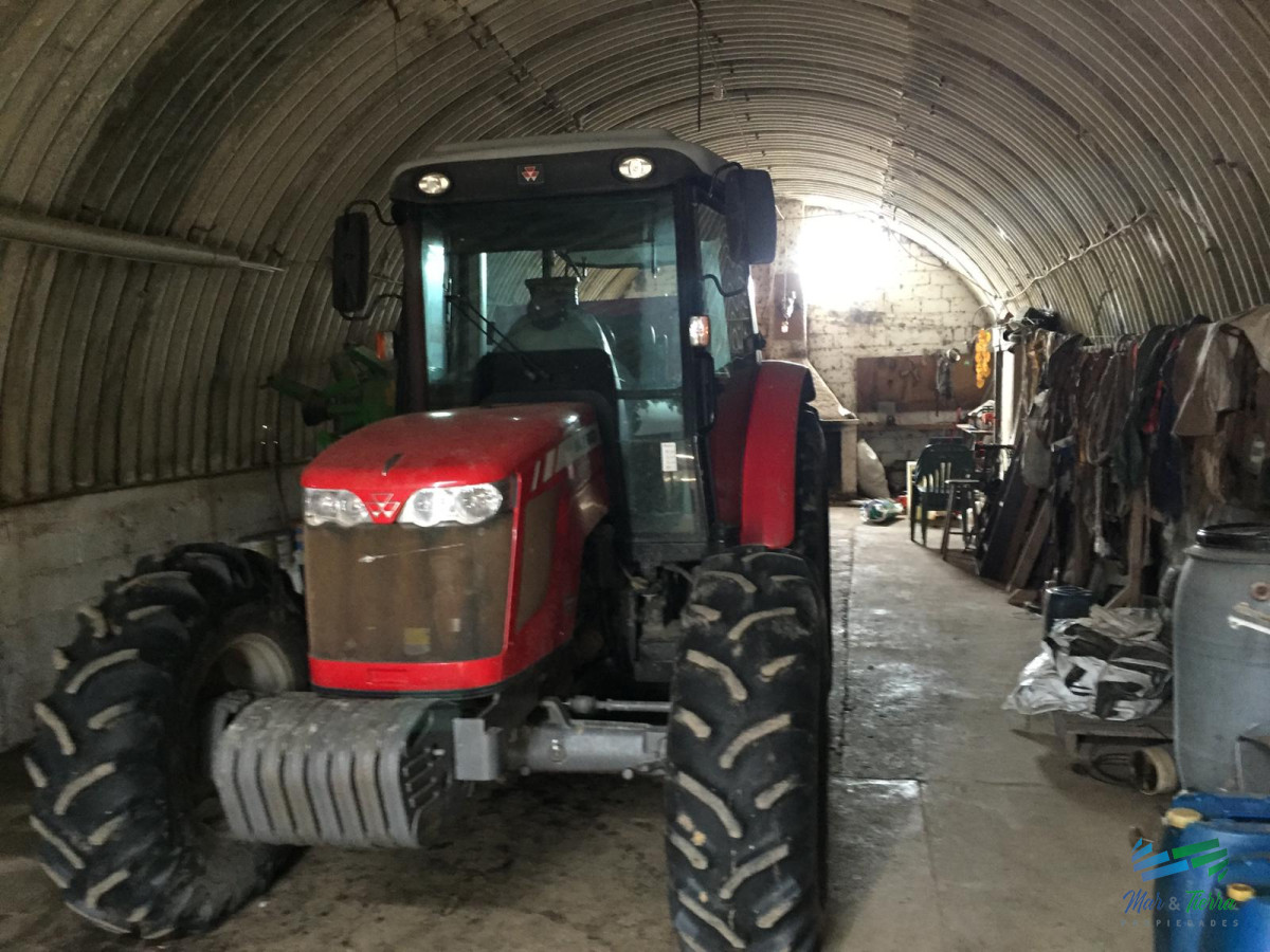 Campo Ref.3697 - 1.137 Has Campaso costa Laguna Negra