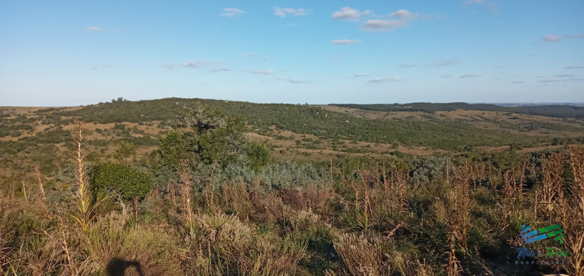 Campo Ref.3898 - 76 Has Campo en Sierras de Garzón