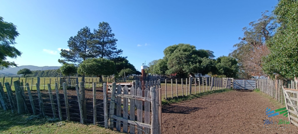 Campo Ref.4411 - Estancia de 882 Has, campo mixto Ganadero - Forestal muy bien ubicado