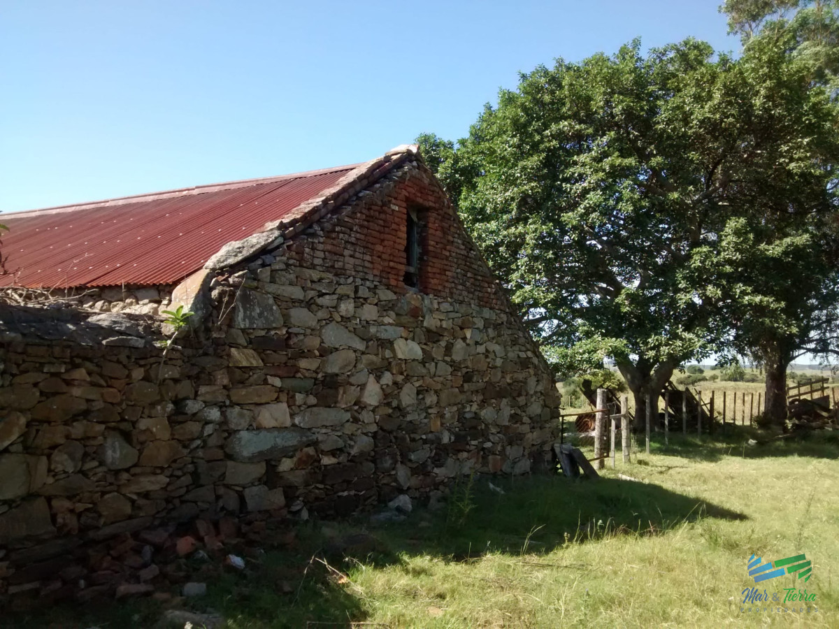 Campo Ref.4113 - 51 Has Campo Secreto