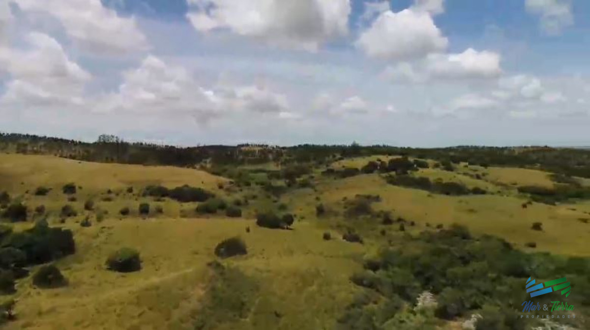 Campo Ref.4248 - Campo Ganadero y Recreo en Garzón 116 Has con casa