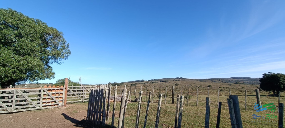 Campo Ref.4411 - Estancia de 882 Has, campo mixto Ganadero - Forestal muy bien ubicado