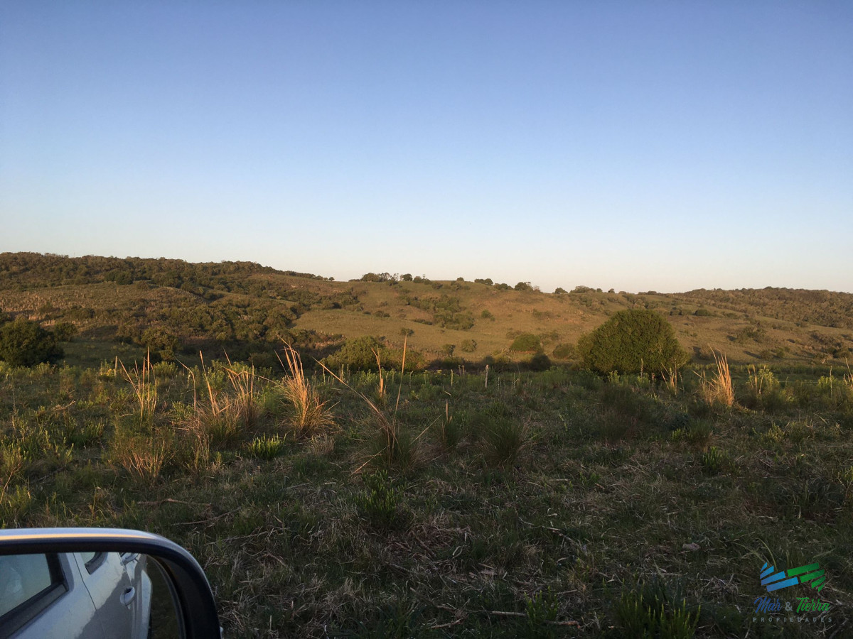 Campo Ref.5208 - 55 Has en Garzón
