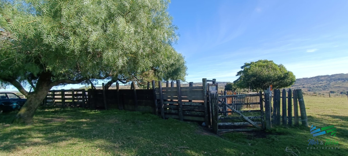 Campo Ref.4410 - Muy buen campo mixto Ganadero-Forestal de 690 Has y bien ubicado