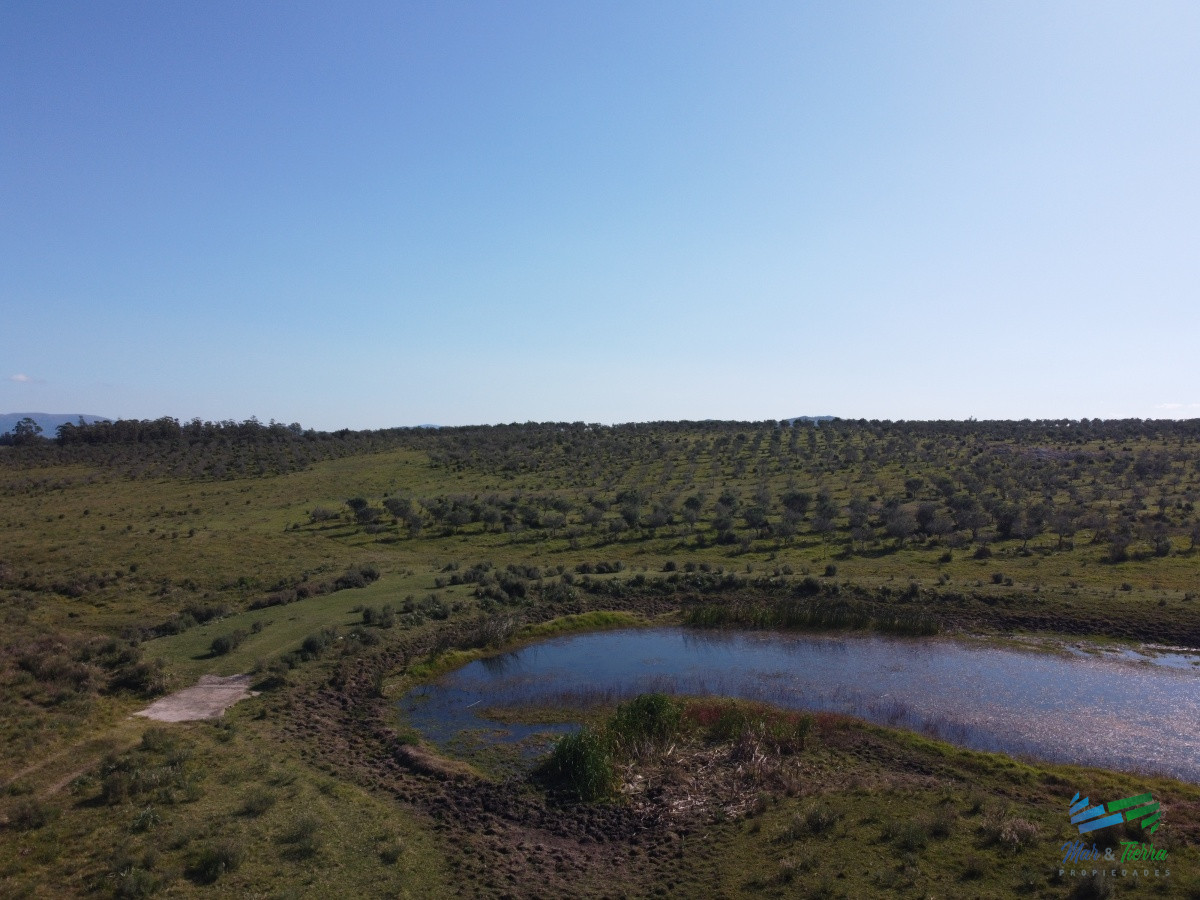 Campo Ref.2088 - Chacra Productiva a media hora de Punta USD 330.000 Oportunidad Olivos !